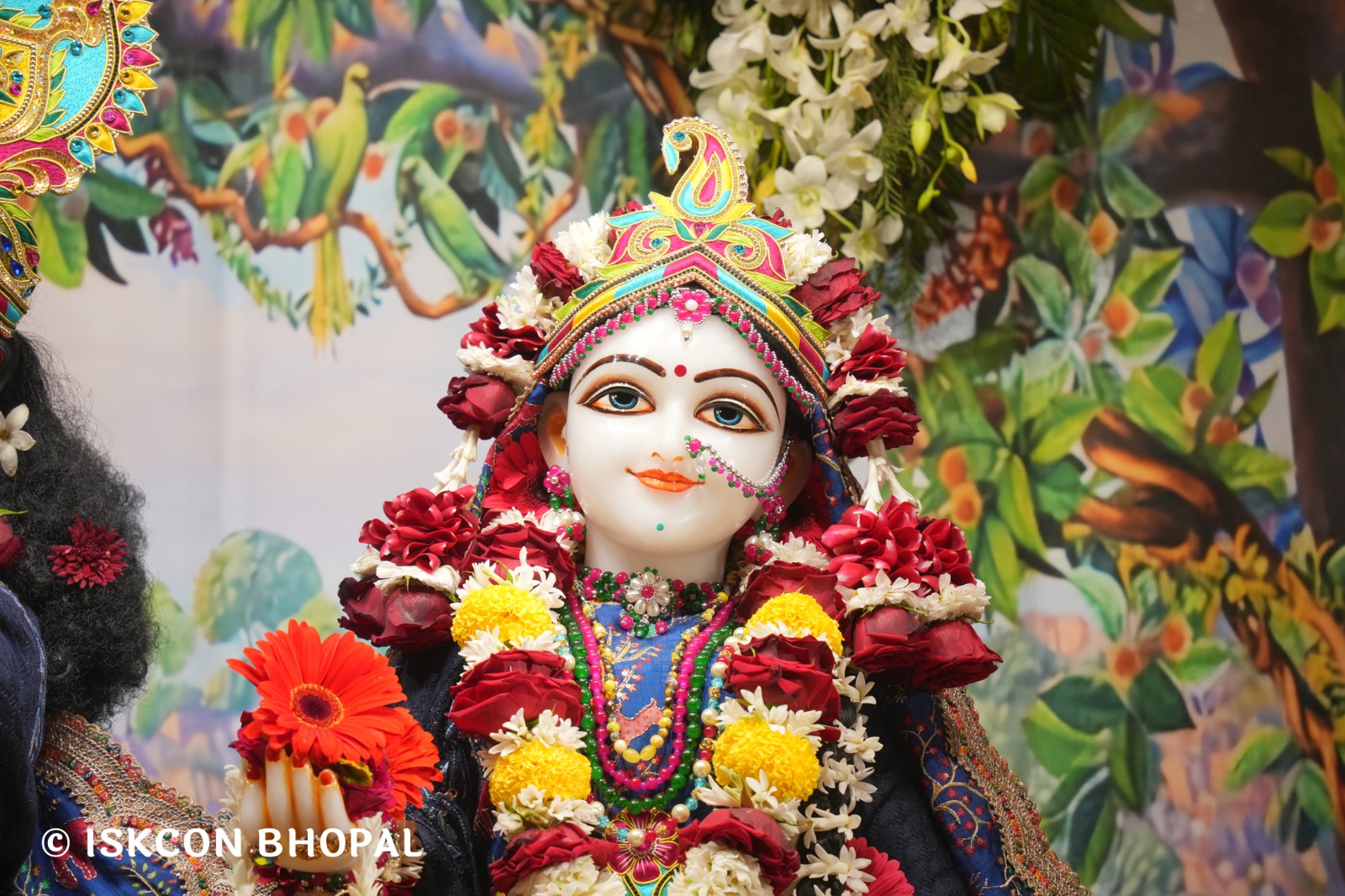 WhatsApp Image 2026-02-03 at 7.48.46 AM (3)