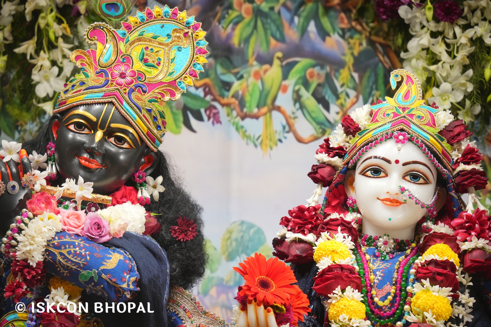 WhatsApp Image 2026-02-03 at 7.48.47 AM (1)