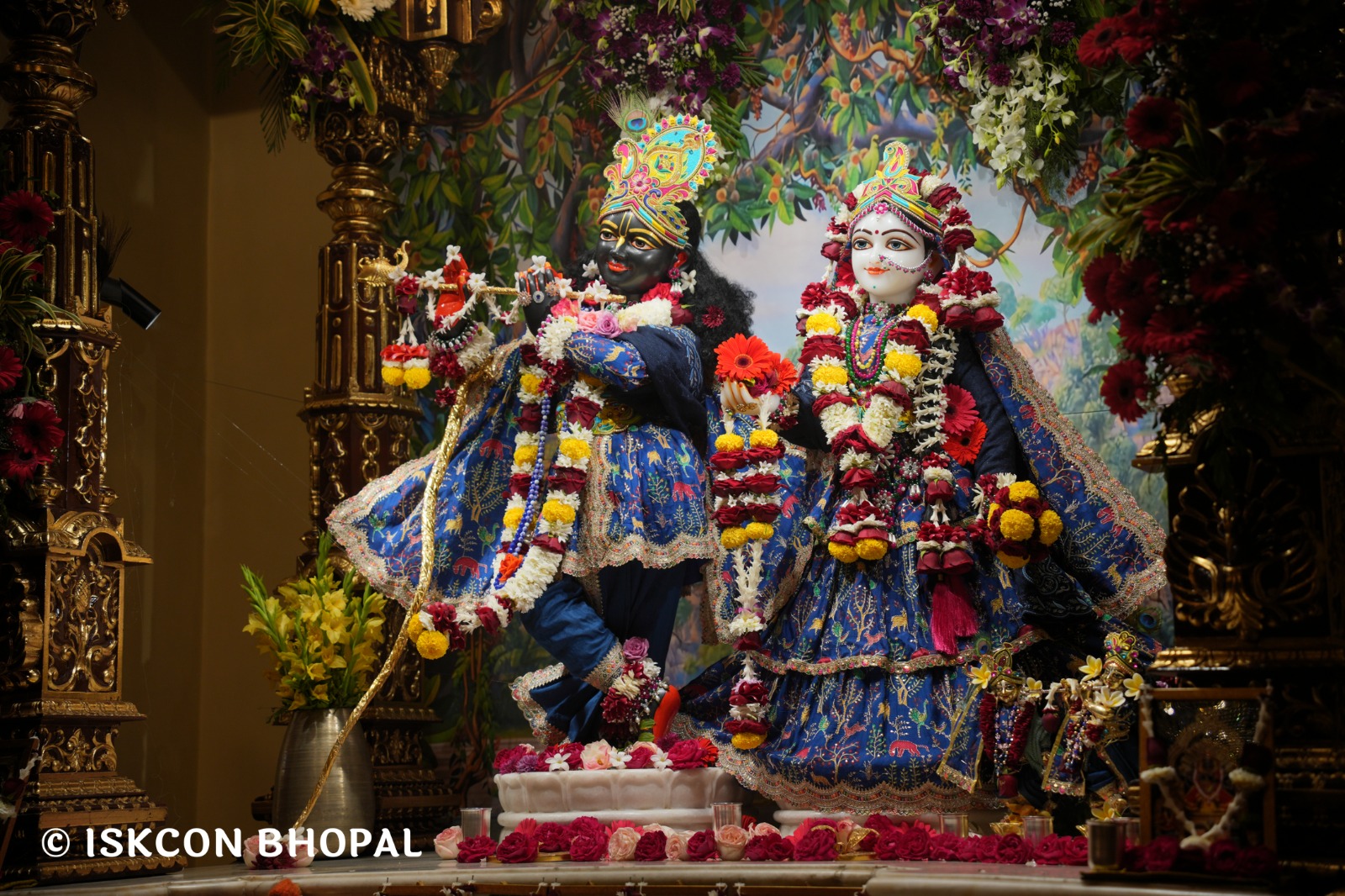 WhatsApp Image 2026-02-03 at 7.48.48 AM (1)