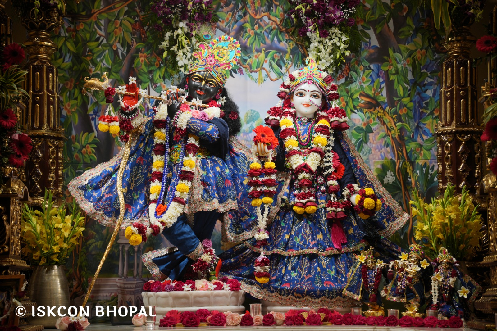 WhatsApp Image 2026-02-03 at 7.48.49 AM (1)