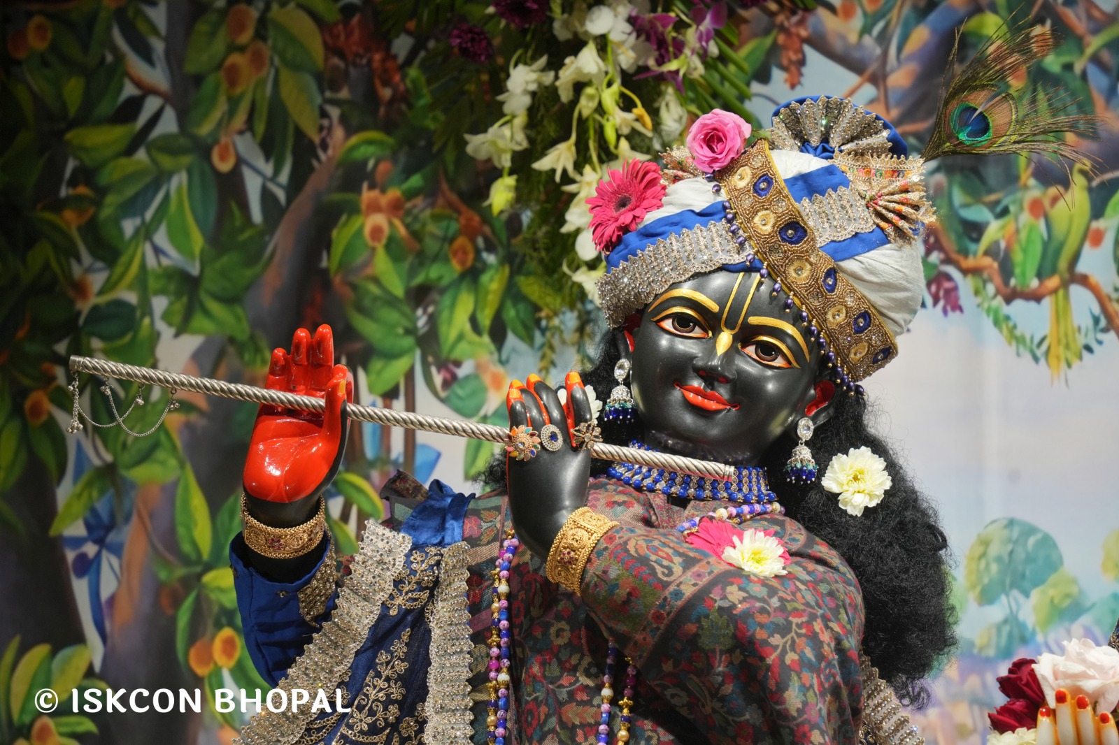 WhatsApp Image 2026-02-04 at 7.11.02 AM (2)