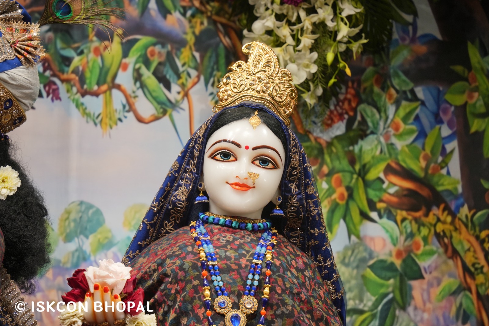 WhatsApp Image 2026-02-04 at 7.11.02 AM (3)