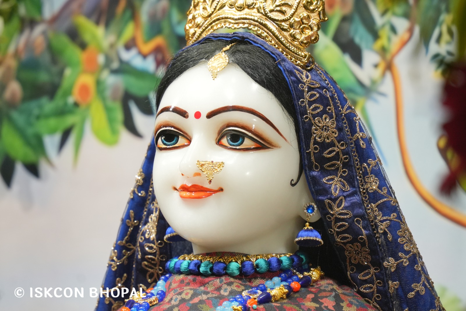 WhatsApp Image 2026-02-04 at 7.11.03 AM (1)