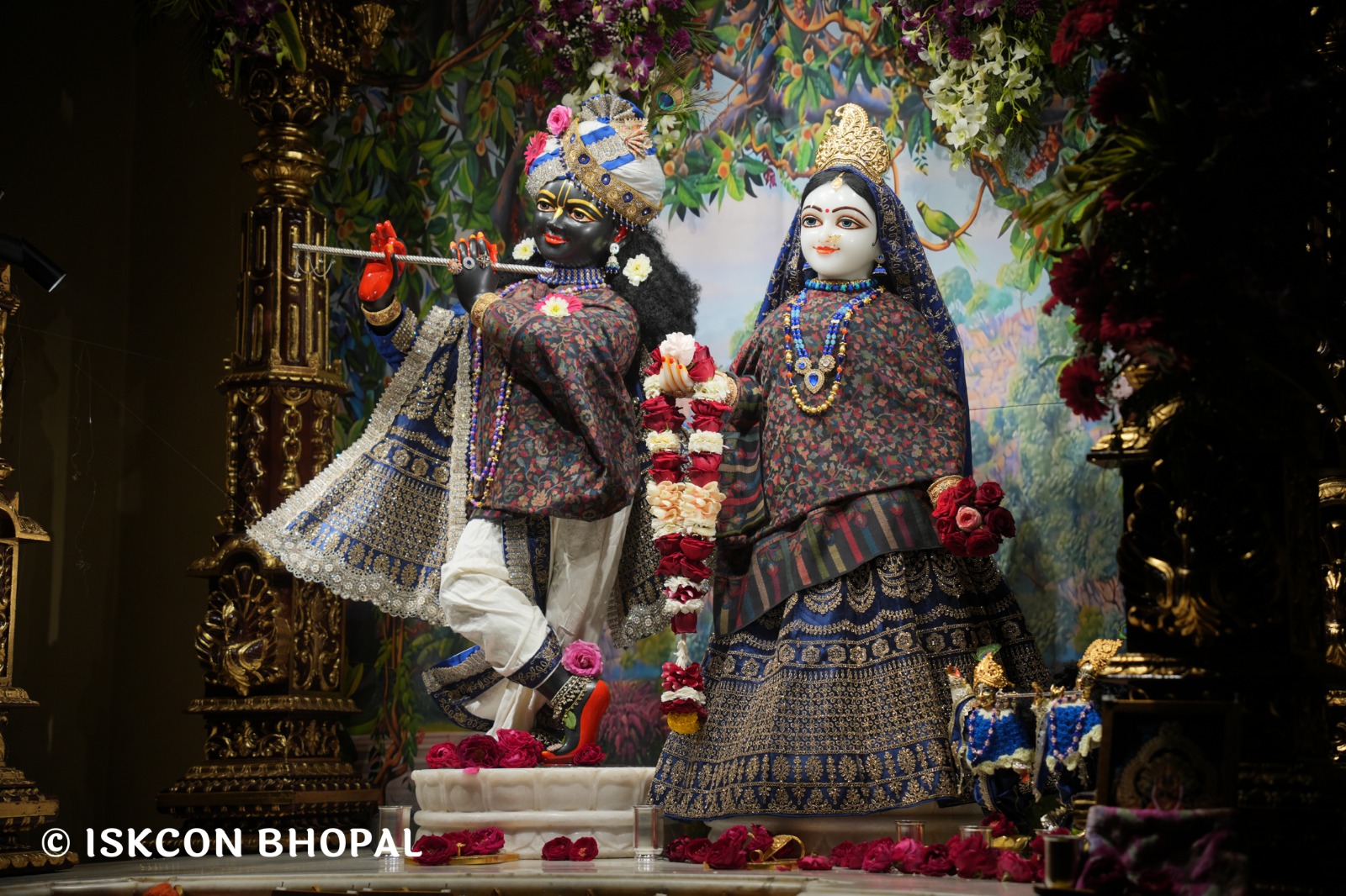 WhatsApp Image 2026-02-04 at 7.11.03 AM (2)