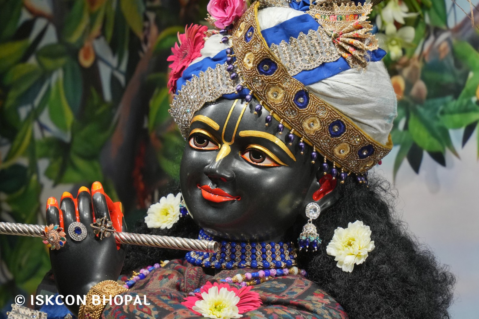 WhatsApp Image 2026-02-04 at 7.11.03 AM (3)