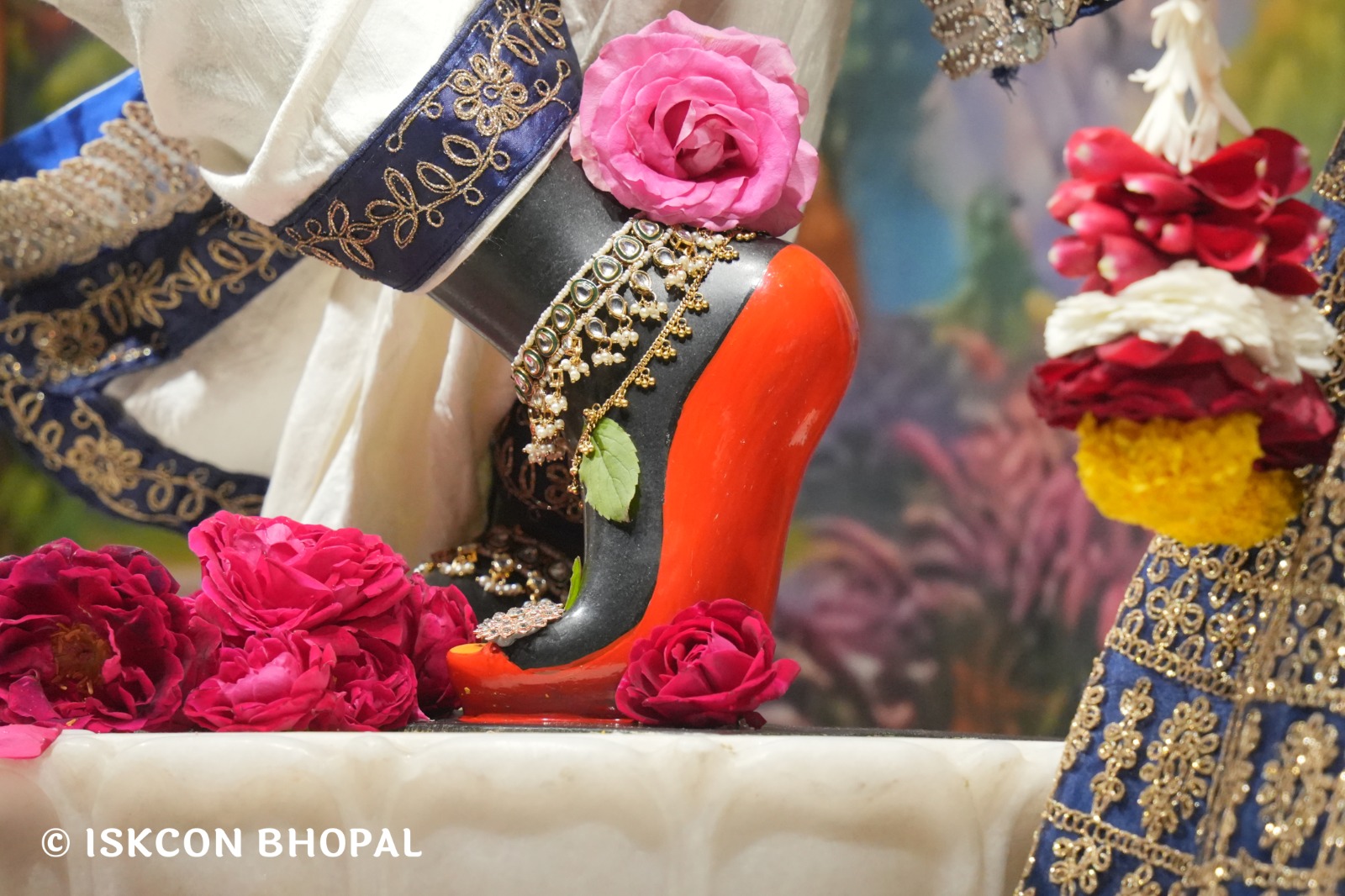 WhatsApp Image 2026-02-04 at 7.11.03 AM (4)