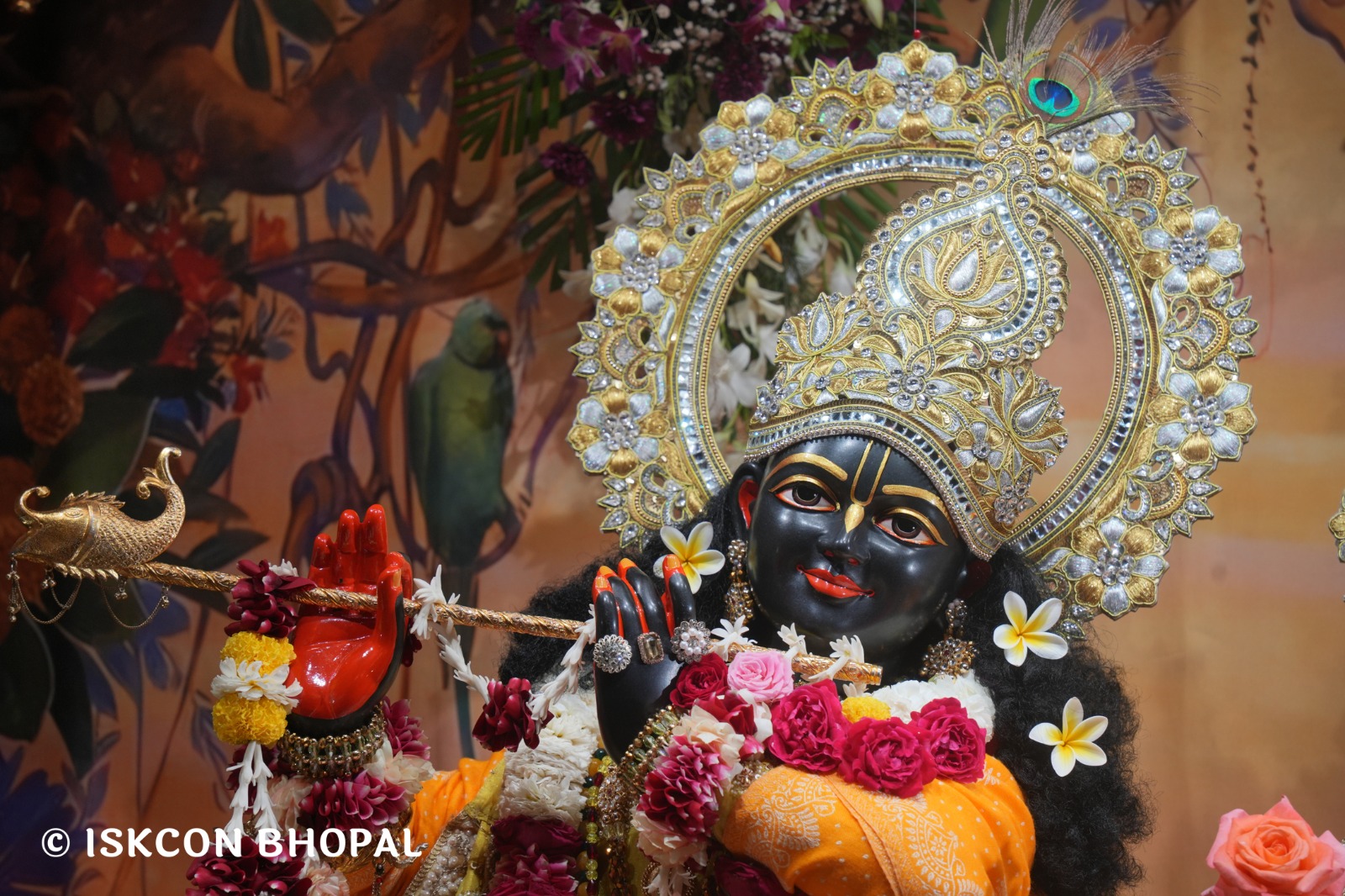 WhatsApp Image 2026-02-04 at 7.46.45 AM (1)