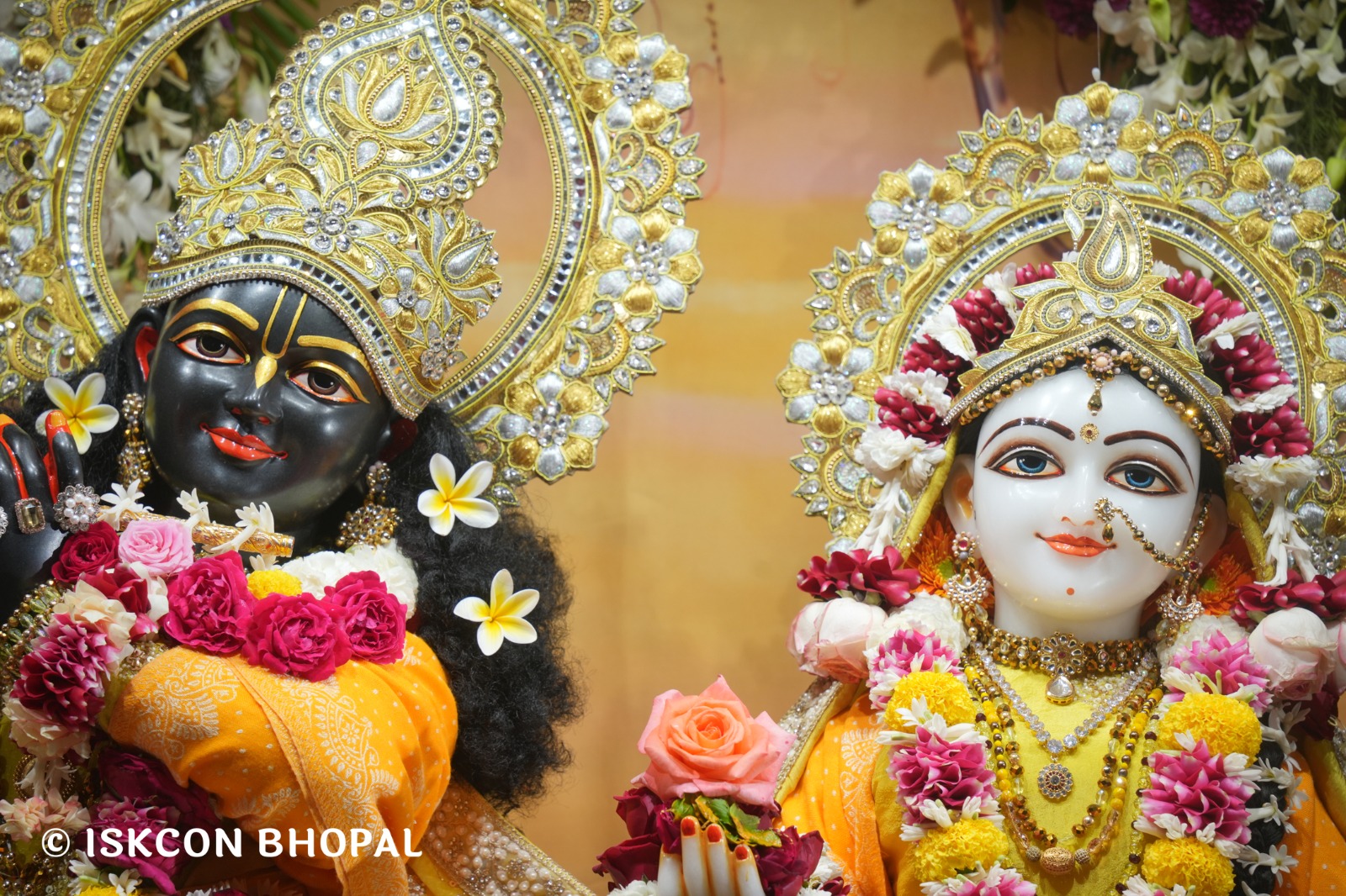 WhatsApp Image 2026-02-04 at 7.46.45 AM