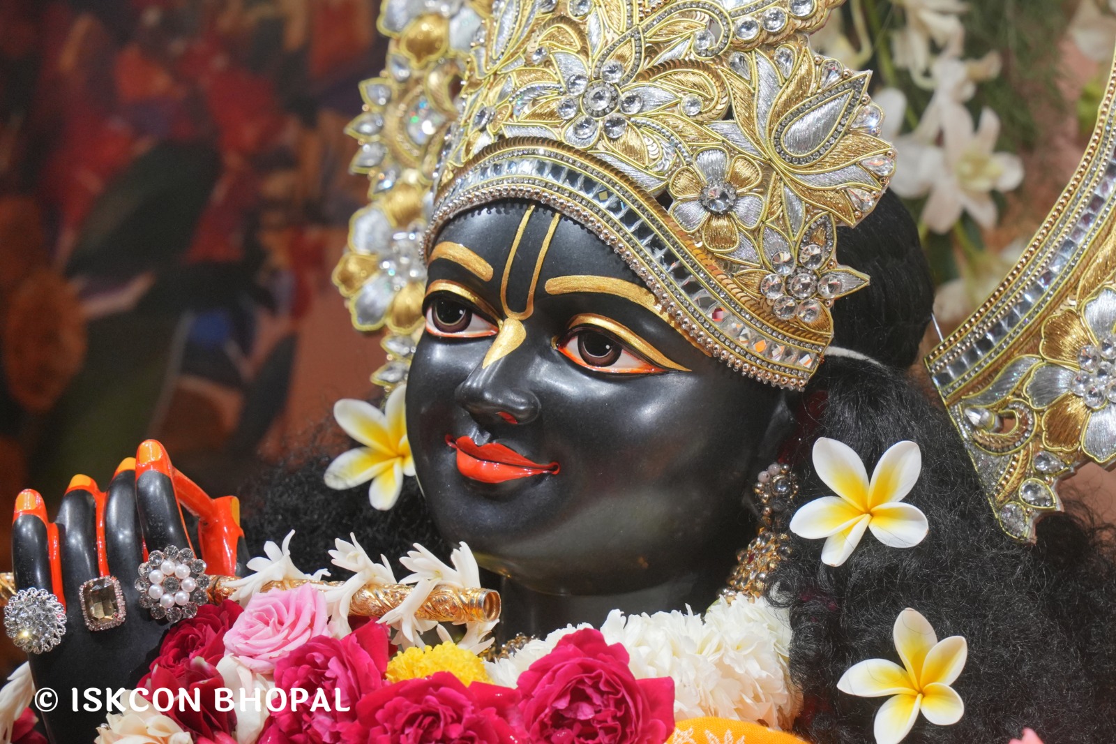 WhatsApp Image 2026-02-04 at 7.46.46 AM (1)