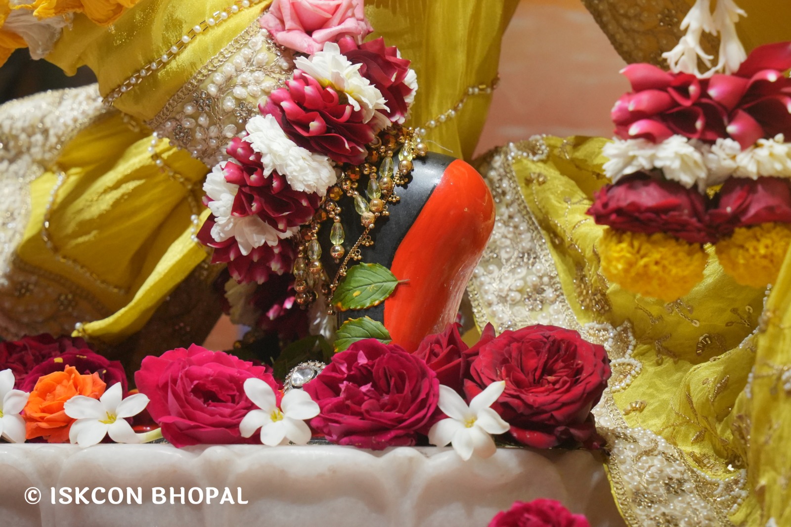 WhatsApp Image 2026-02-04 at 7.46.46 AM (2)