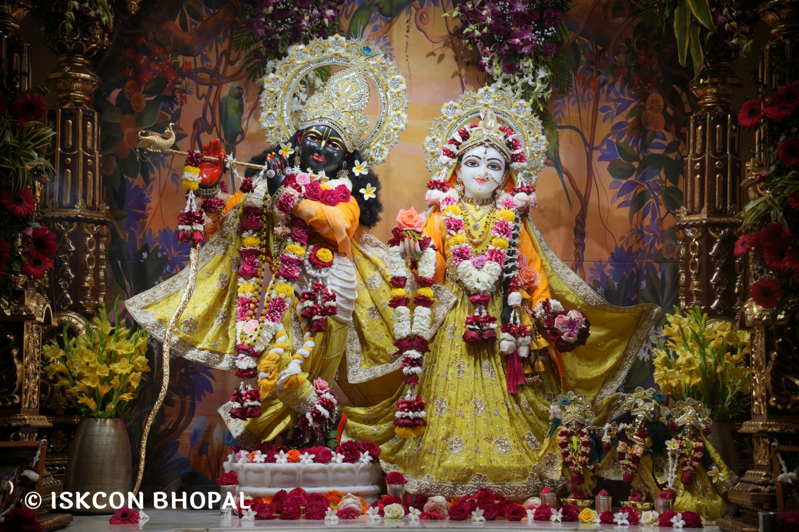 WhatsApp Image 2026-02-04 at 7.46.46 AM (3)