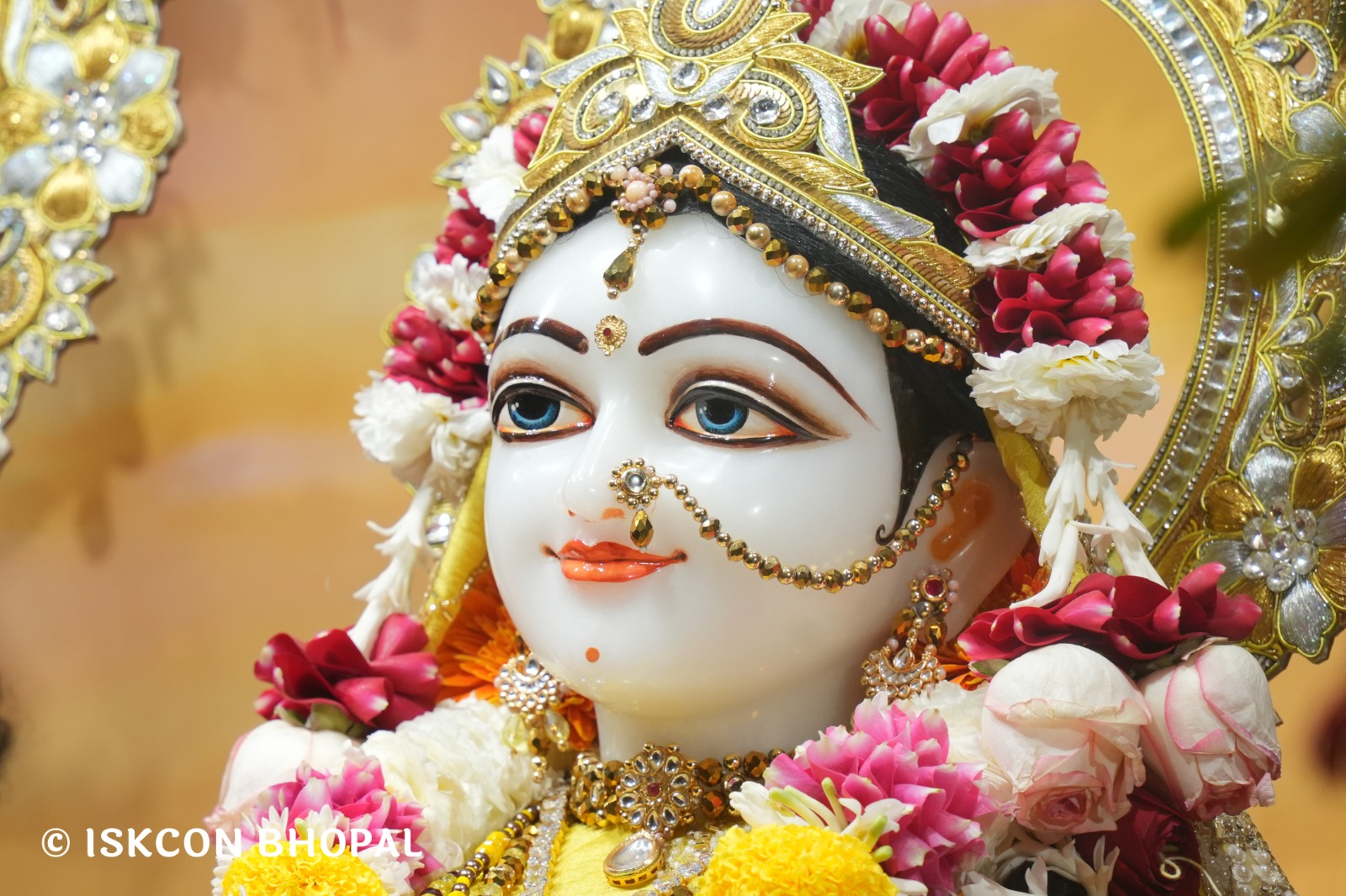 WhatsApp Image 2026-02-04 at 7.46.47 AM (3)