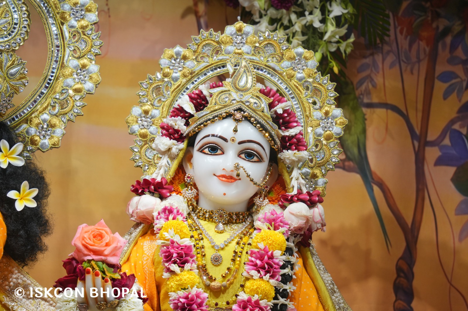 WhatsApp Image 2026-02-04 at 7.46.47 AM