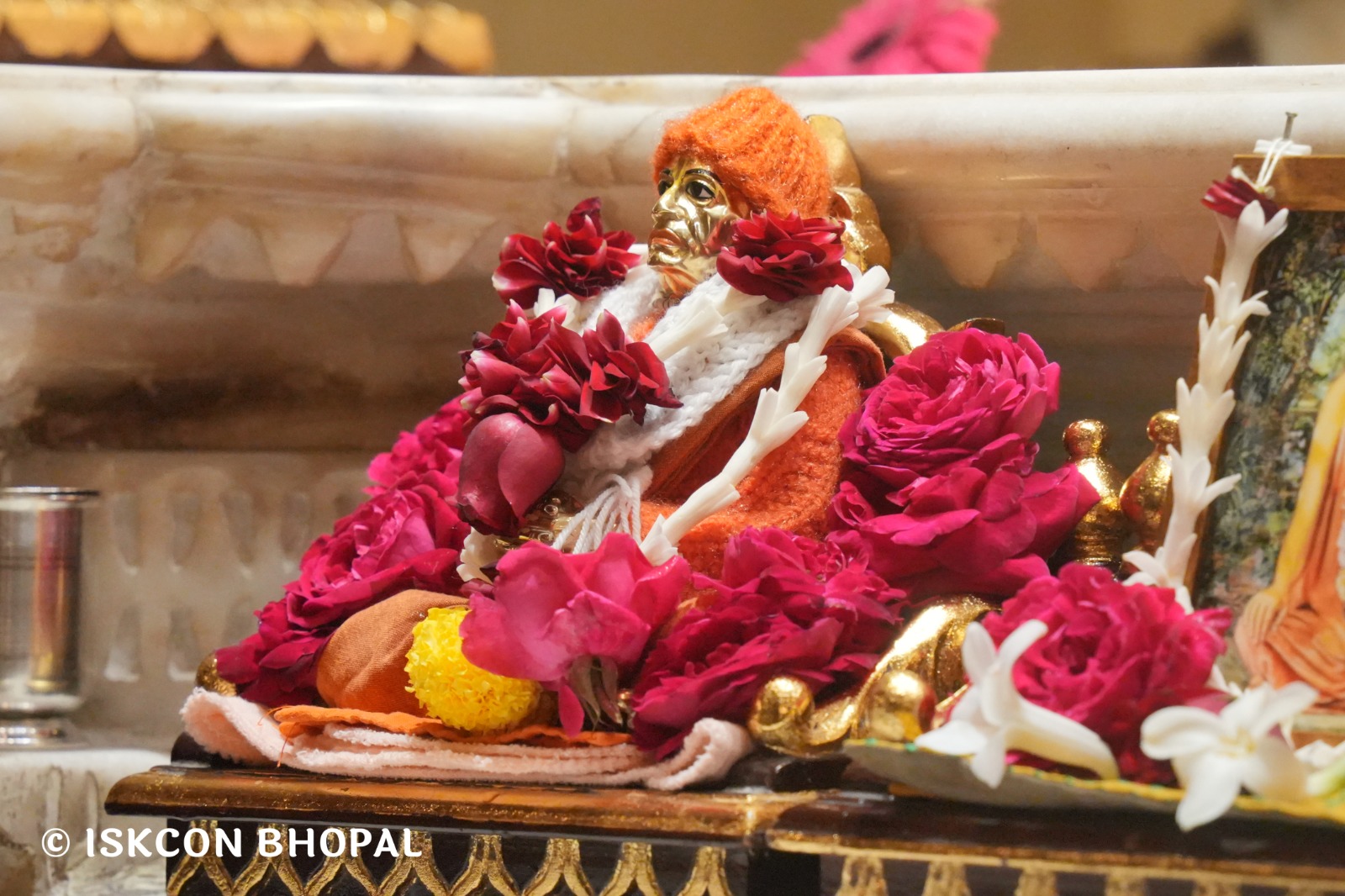 WhatsApp Image 2026-02-04 at 7.46.49 AM