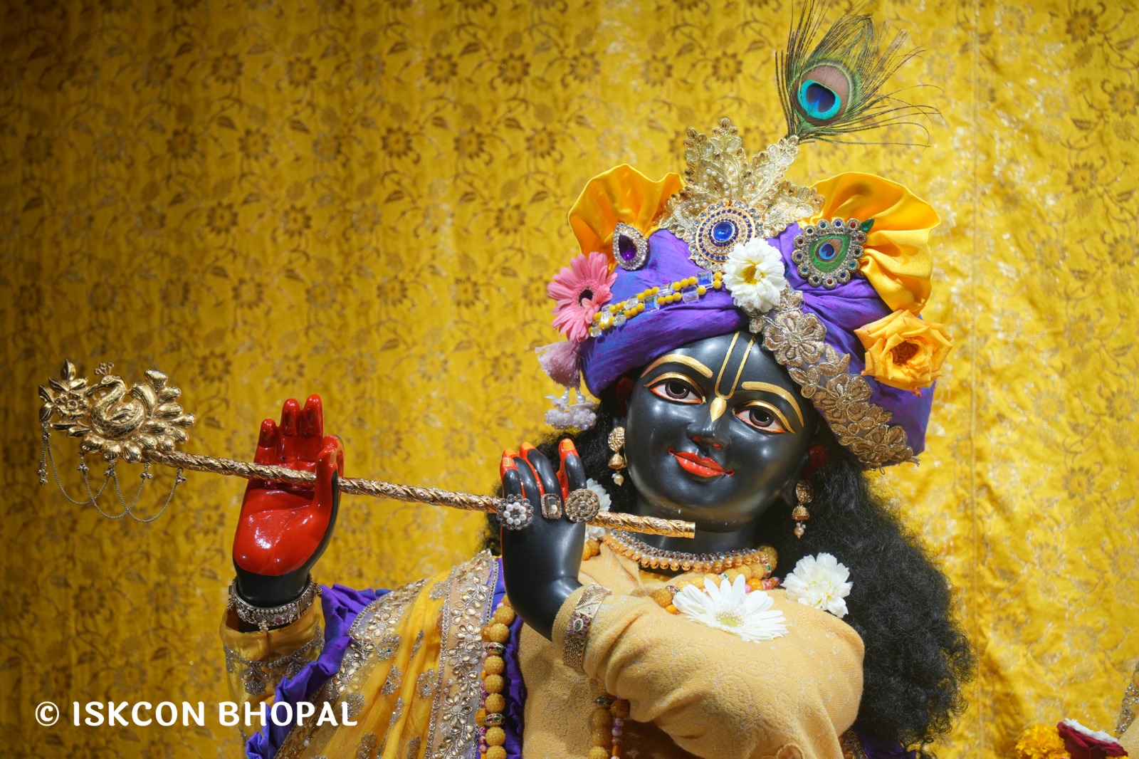 WhatsApp Image 2026-02-05 at 7.13.15 AM (2)