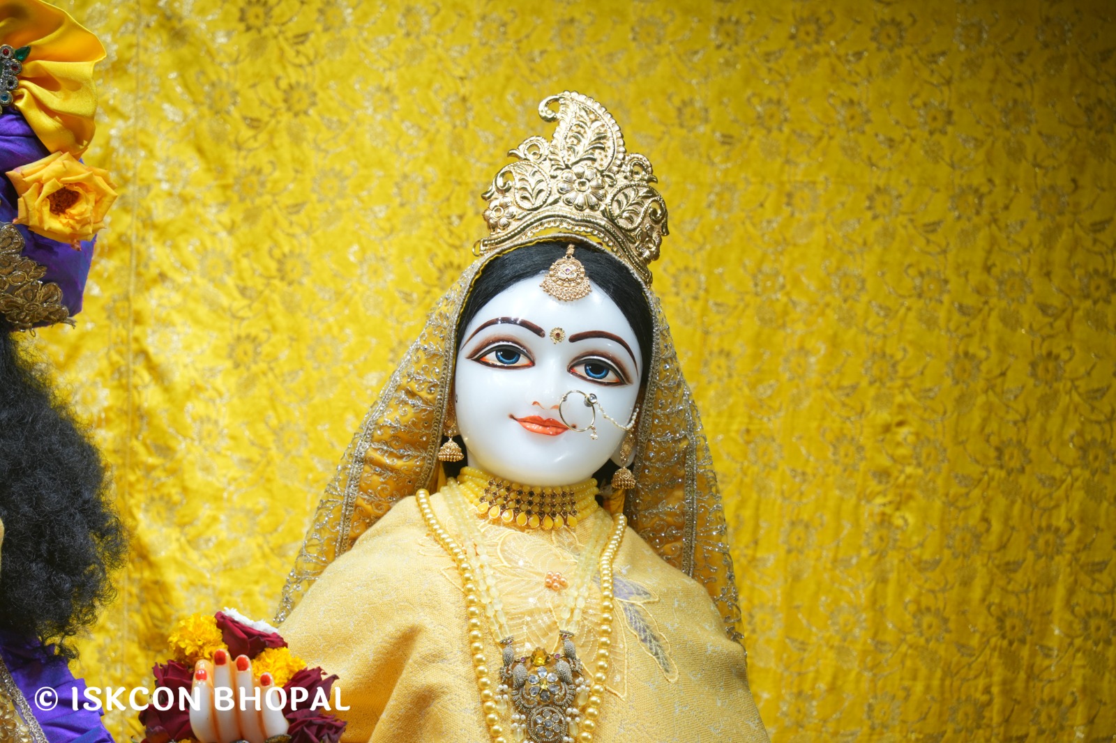 WhatsApp Image 2026-02-05 at 7.13.16 AM (1)