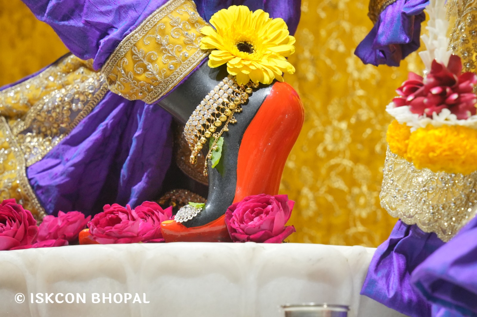 WhatsApp Image 2026-02-05 at 7.13.16 AM (4)