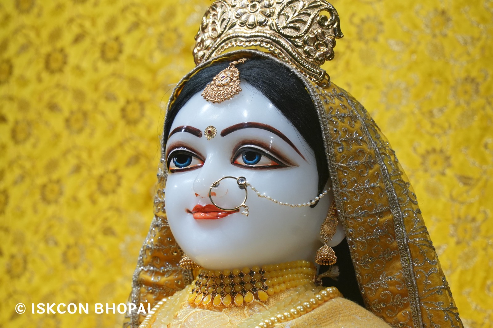 WhatsApp Image 2026-02-05 at 7.13.16 AM (5)