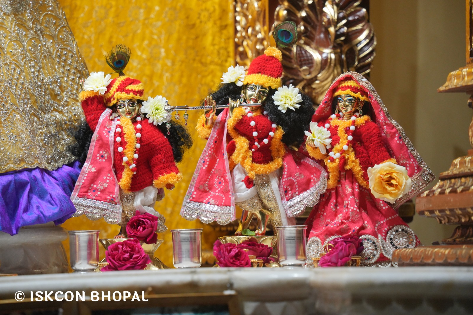 WhatsApp Image 2026-02-05 at 7.13.16 AM