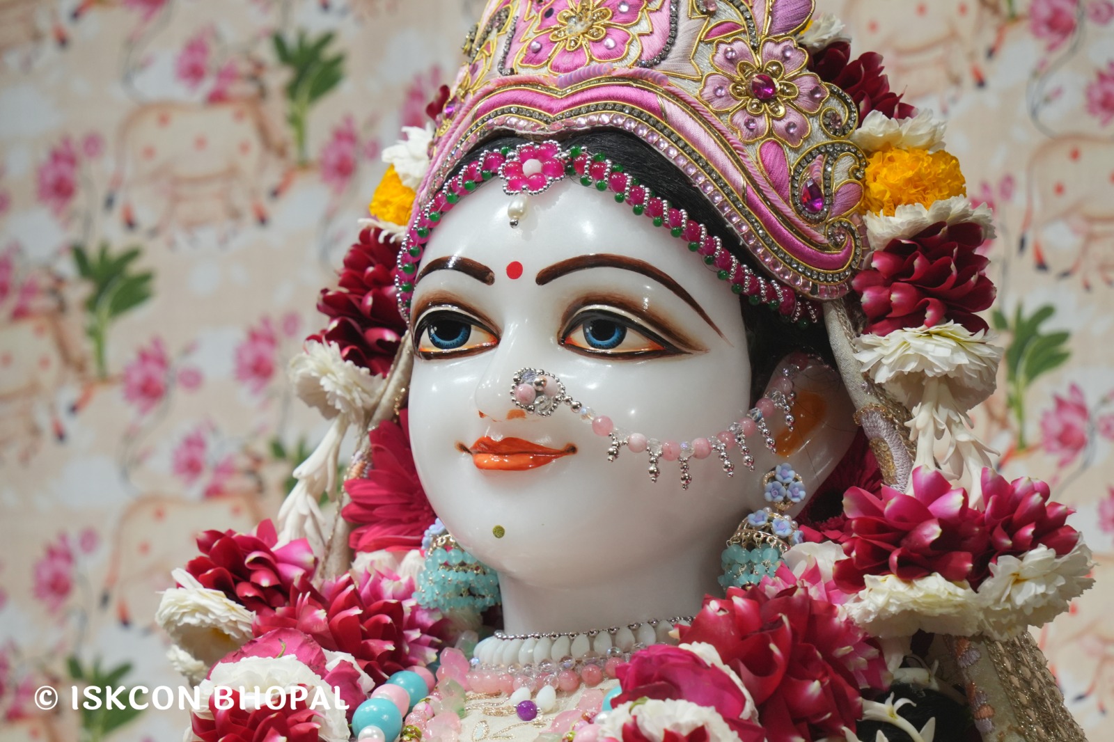 WhatsApp Image 2026-02-05 at 7.42.59 AM (1)