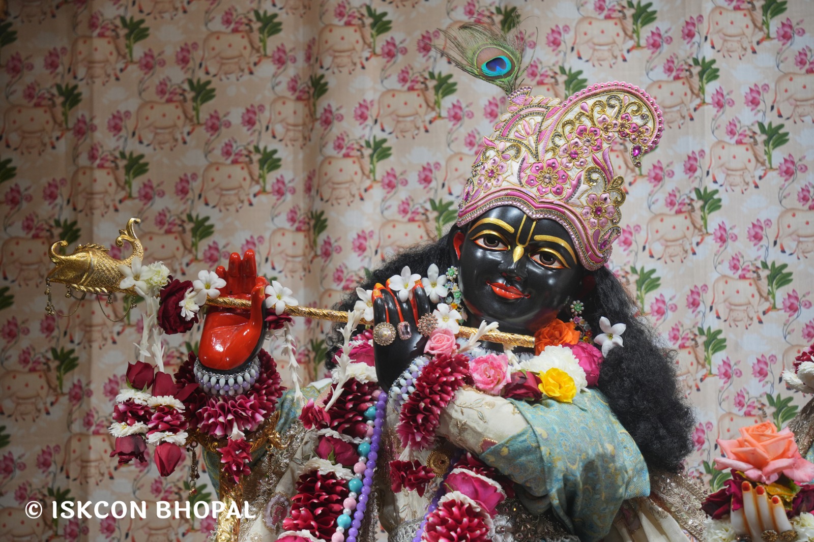 WhatsApp Image 2026-02-05 at 7.42.59 AM (3)