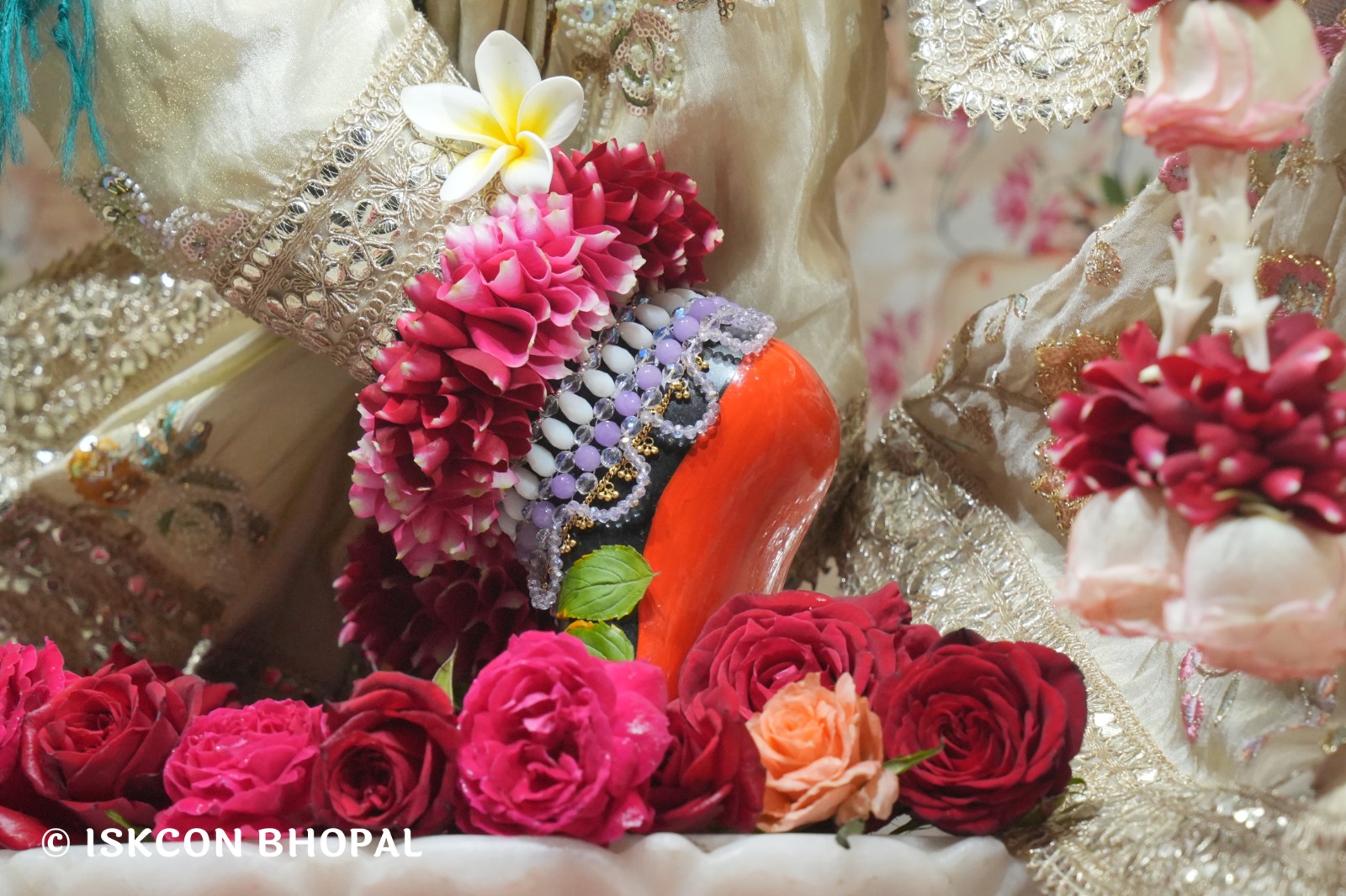 WhatsApp Image 2026-02-05 at 7.42.59 AM