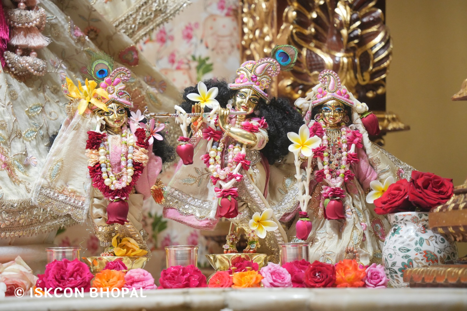 WhatsApp Image 2026-02-05 at 7.43.00 AM (1)