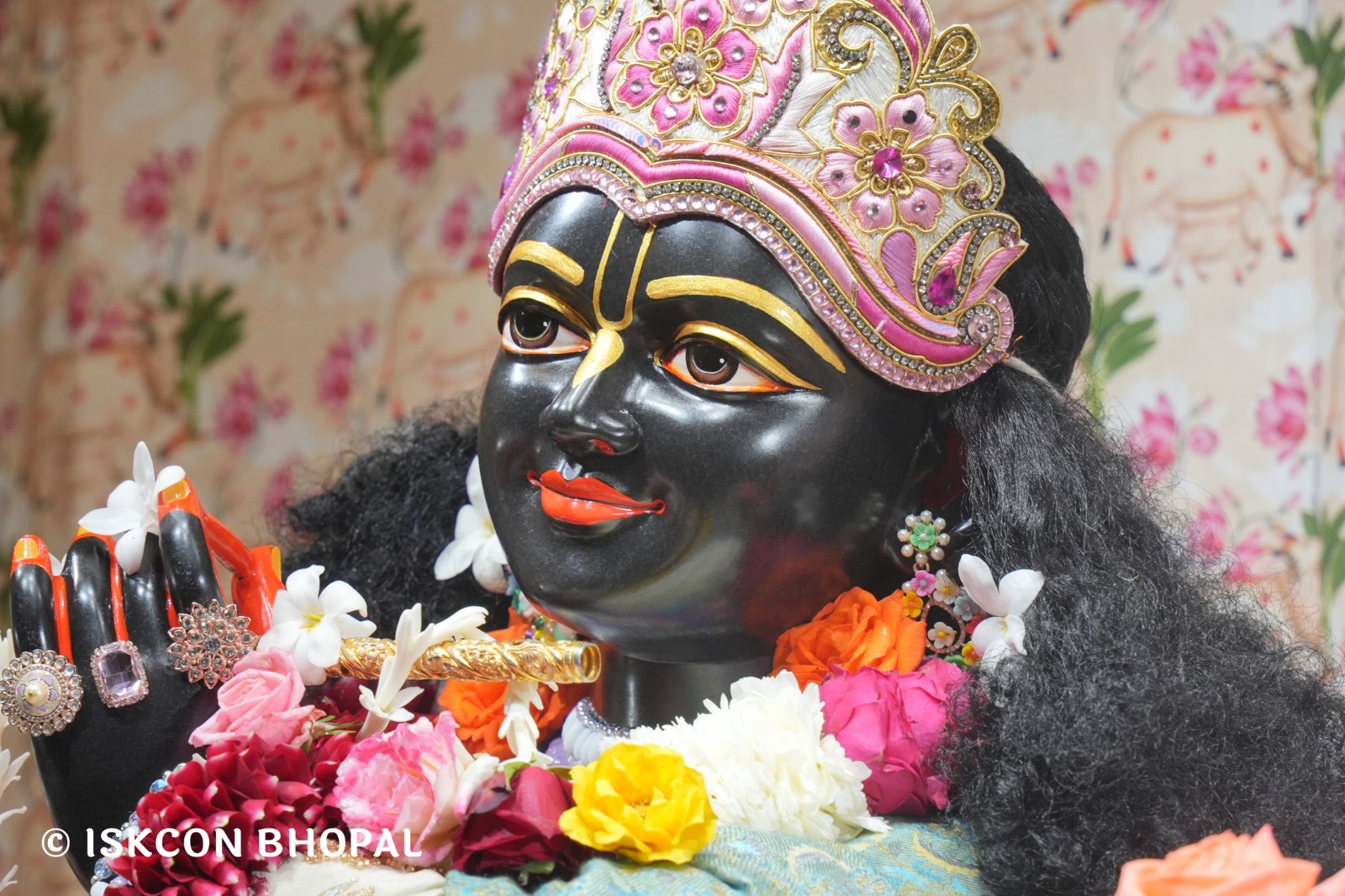 WhatsApp Image 2026-02-05 at 7.43.00 AM (2)