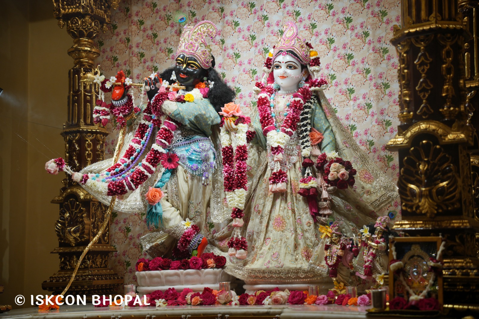 WhatsApp Image 2026-02-05 at 7.43.00 AM (3)