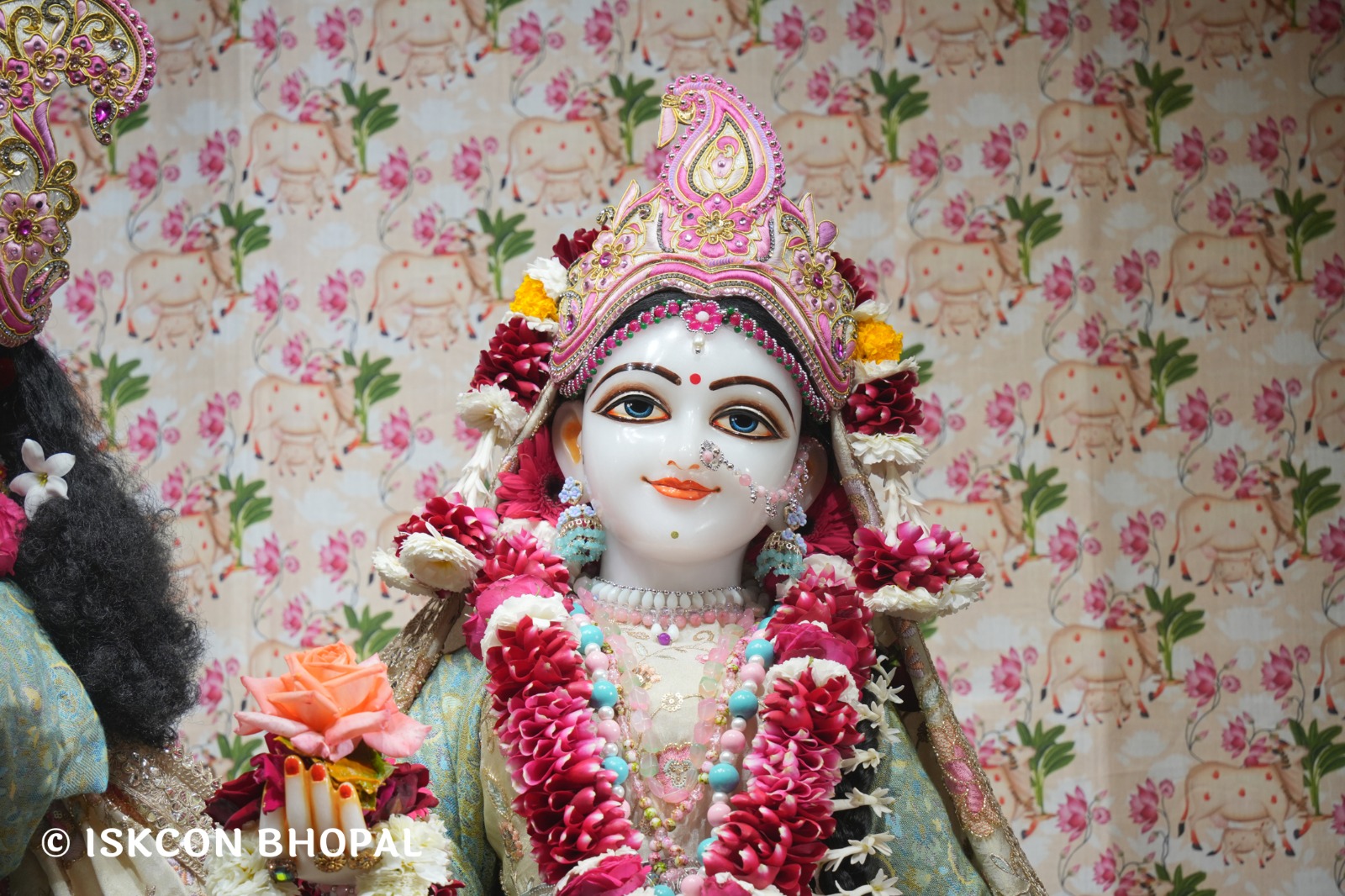 WhatsApp Image 2026-02-05 at 7.43.00 AM