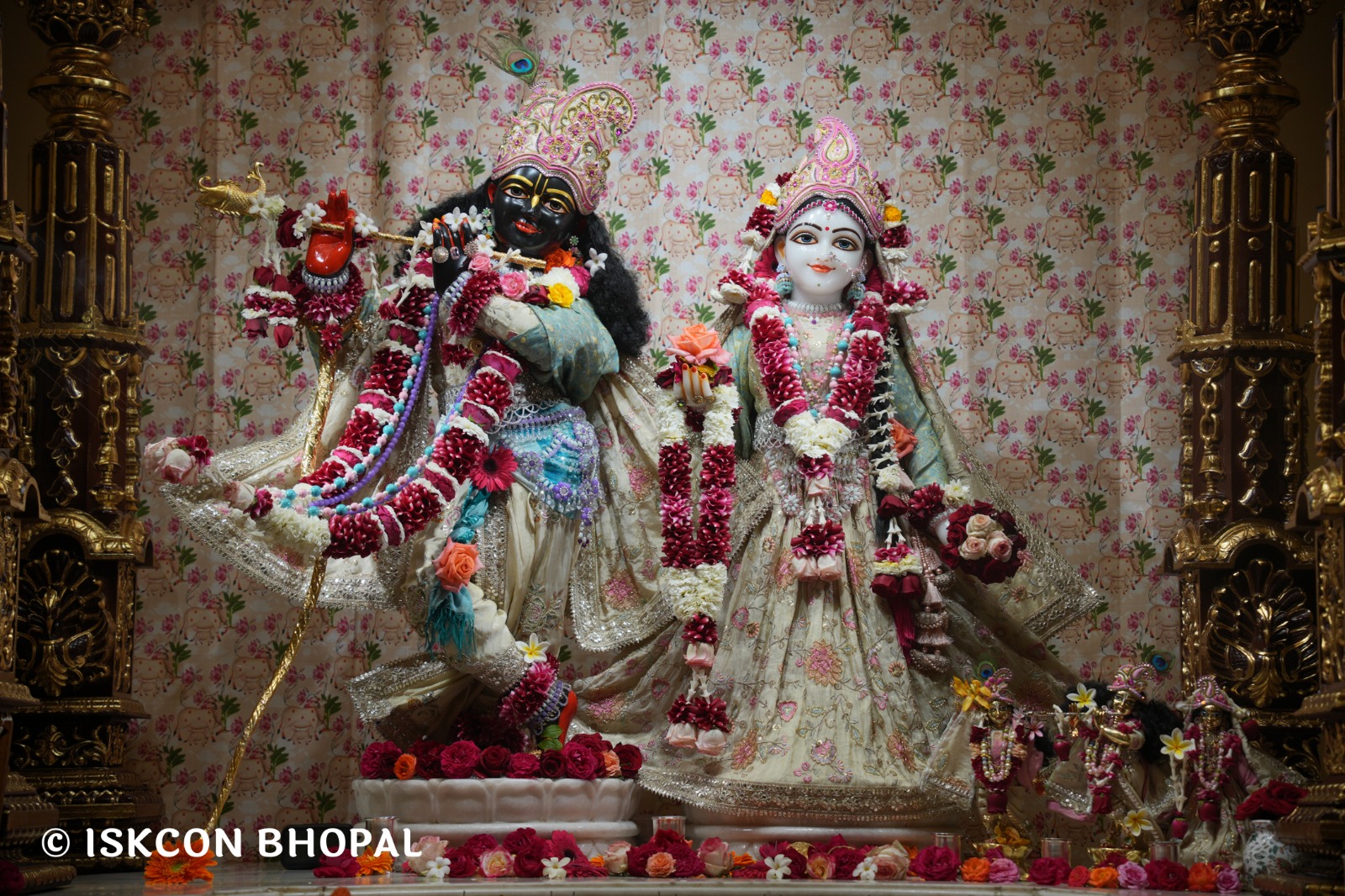 WhatsApp Image 2026-02-05 at 7.43.01 AM (1)