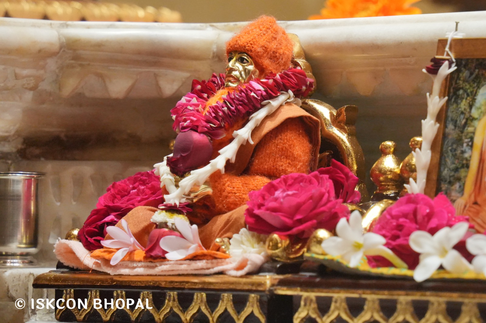 WhatsApp Image 2026-02-05 at 7.43.03 AM