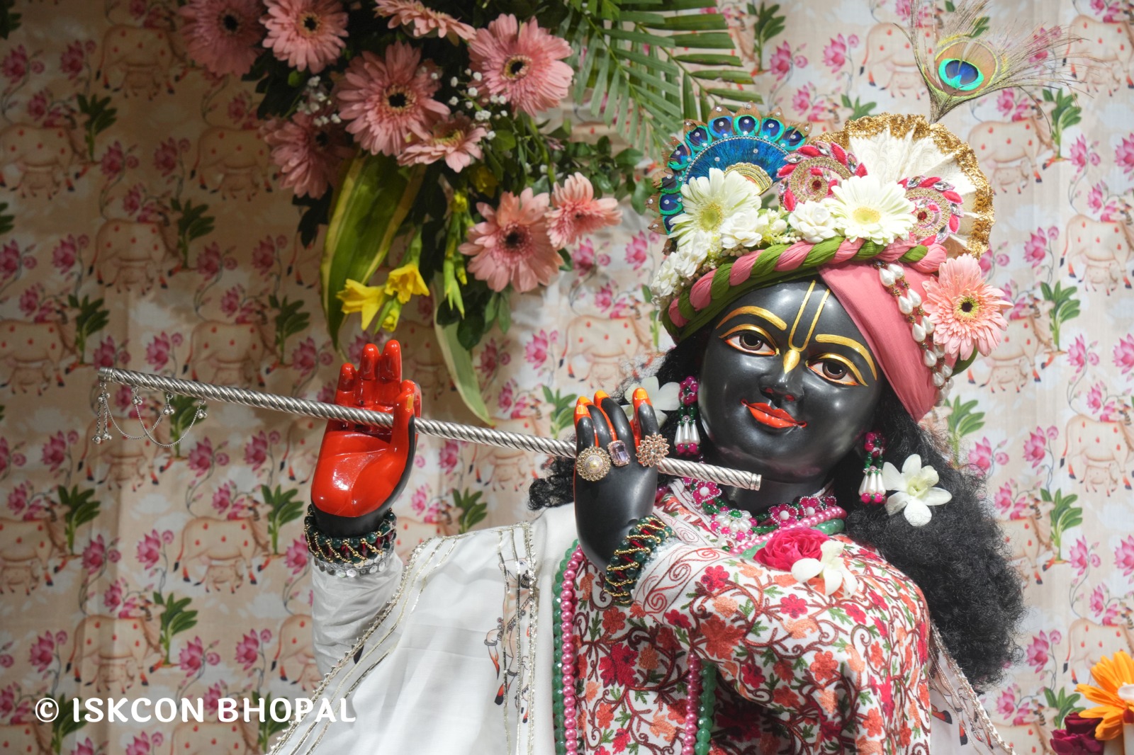 WhatsApp Image 2026-02-06 at 6.55.54 AM (1)