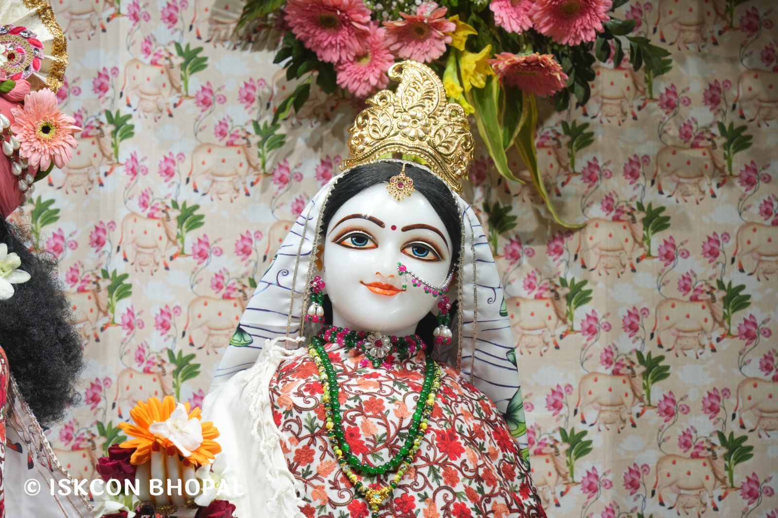 WhatsApp Image 2026-02-06 at 6.55.54 AM (3)