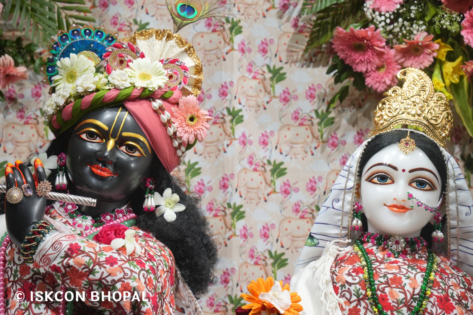 WhatsApp Image 2026-02-06 at 6.55.54 AM