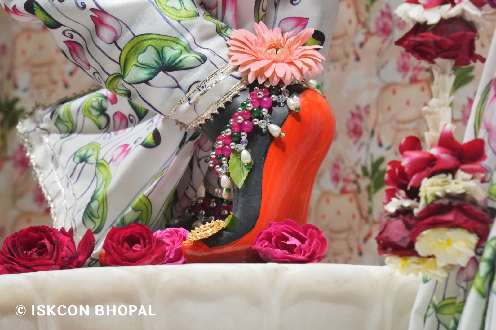 WhatsApp Image 2026-02-06 at 6.55.55 AM (1)