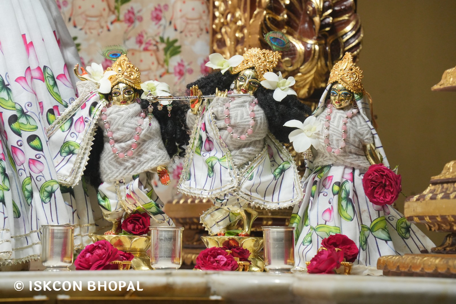 WhatsApp Image 2026-02-06 at 6.55.55 AM (2)