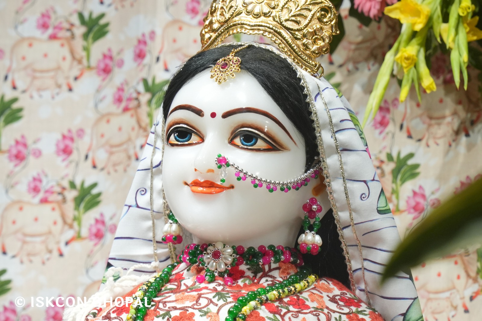 WhatsApp Image 2026-02-06 at 6.55.56 AM (1)