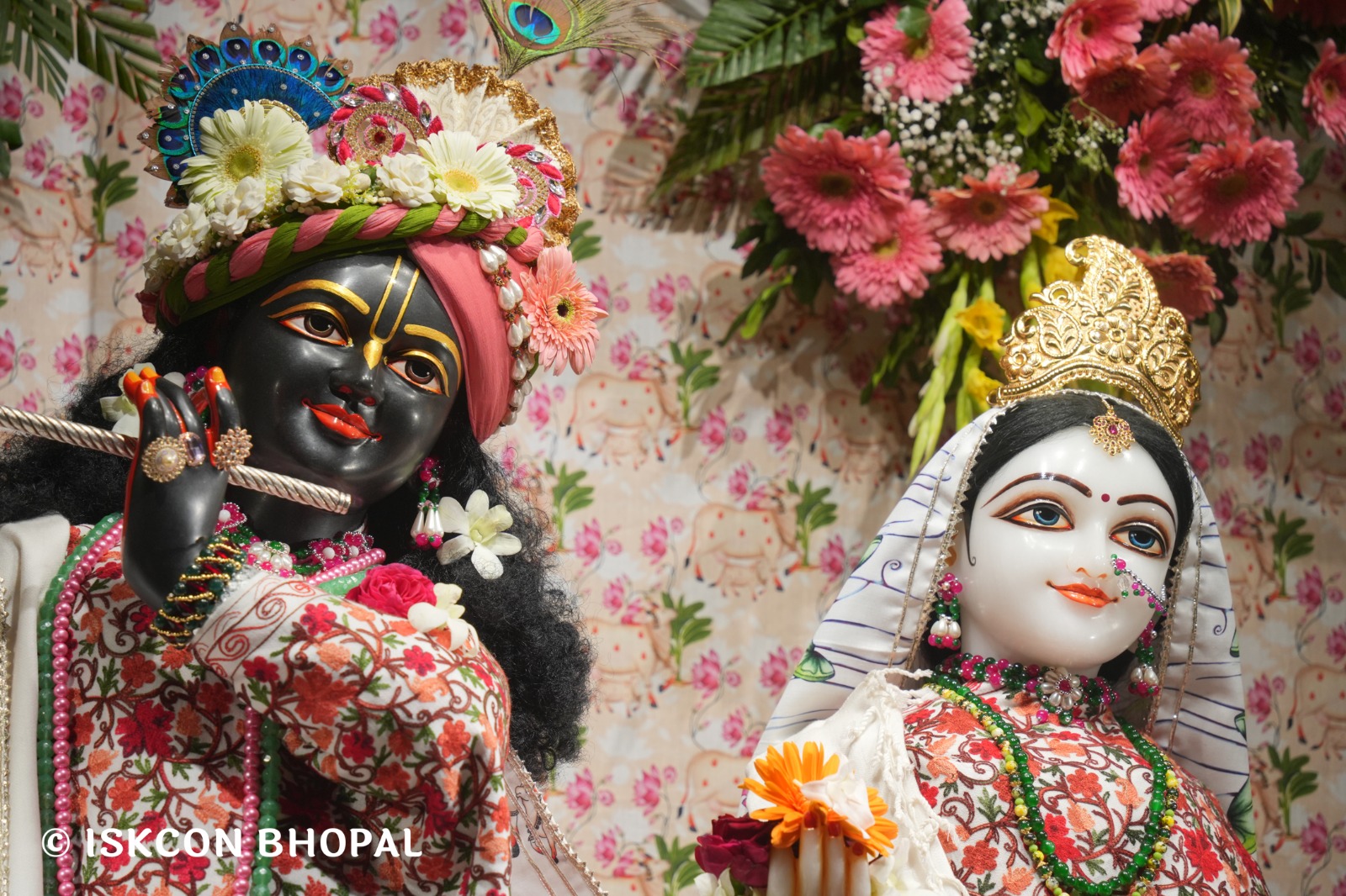 WhatsApp Image 2026-02-06 at 6.55.56 AM (2)