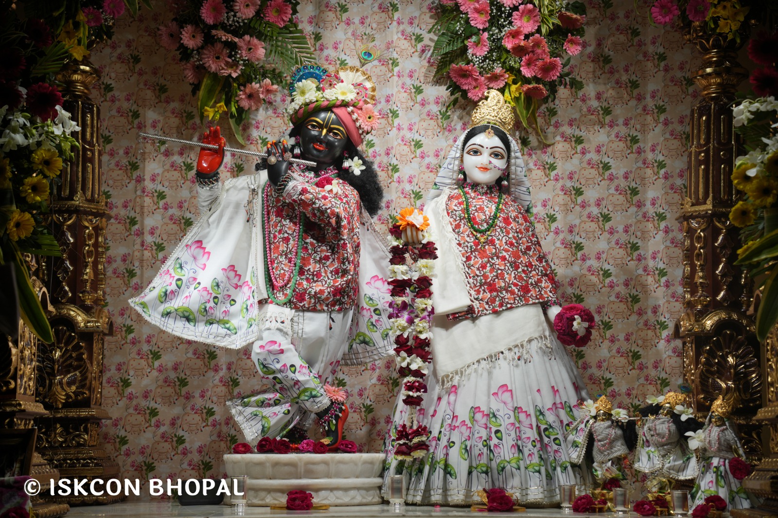 WhatsApp Image 2026-02-06 at 6.55.56 AM