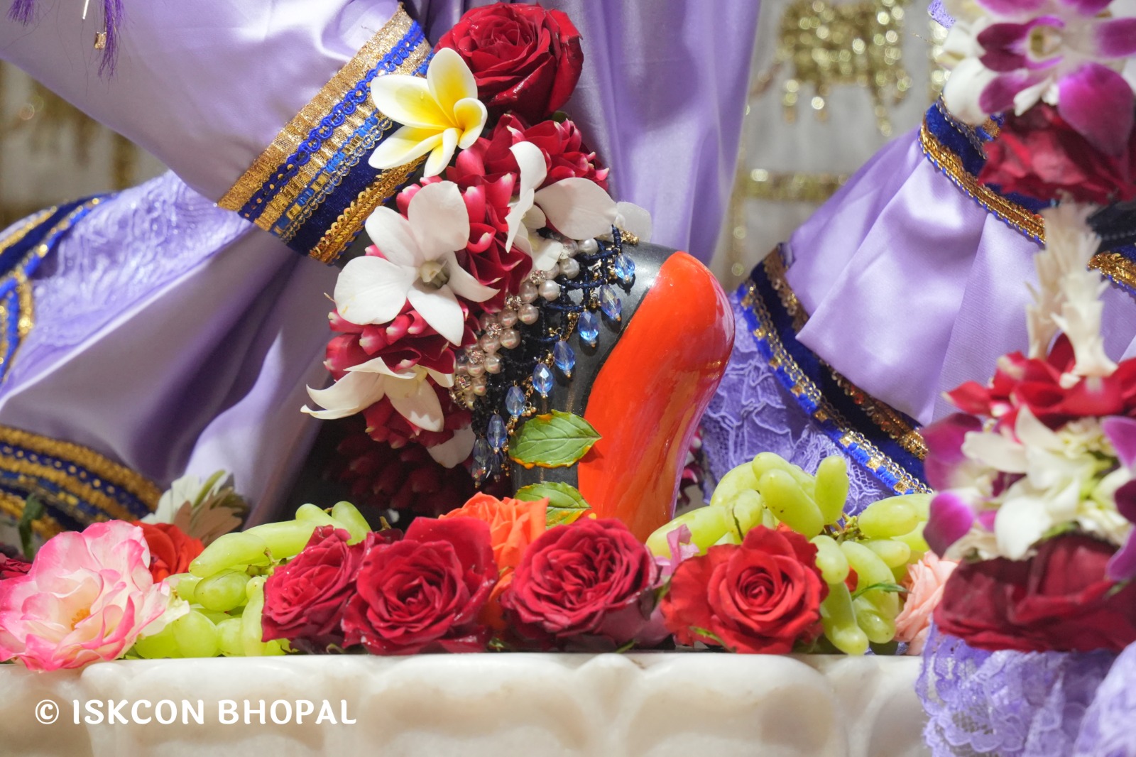 WhatsApp Image 2026-02-06 at 7.49.44 AM