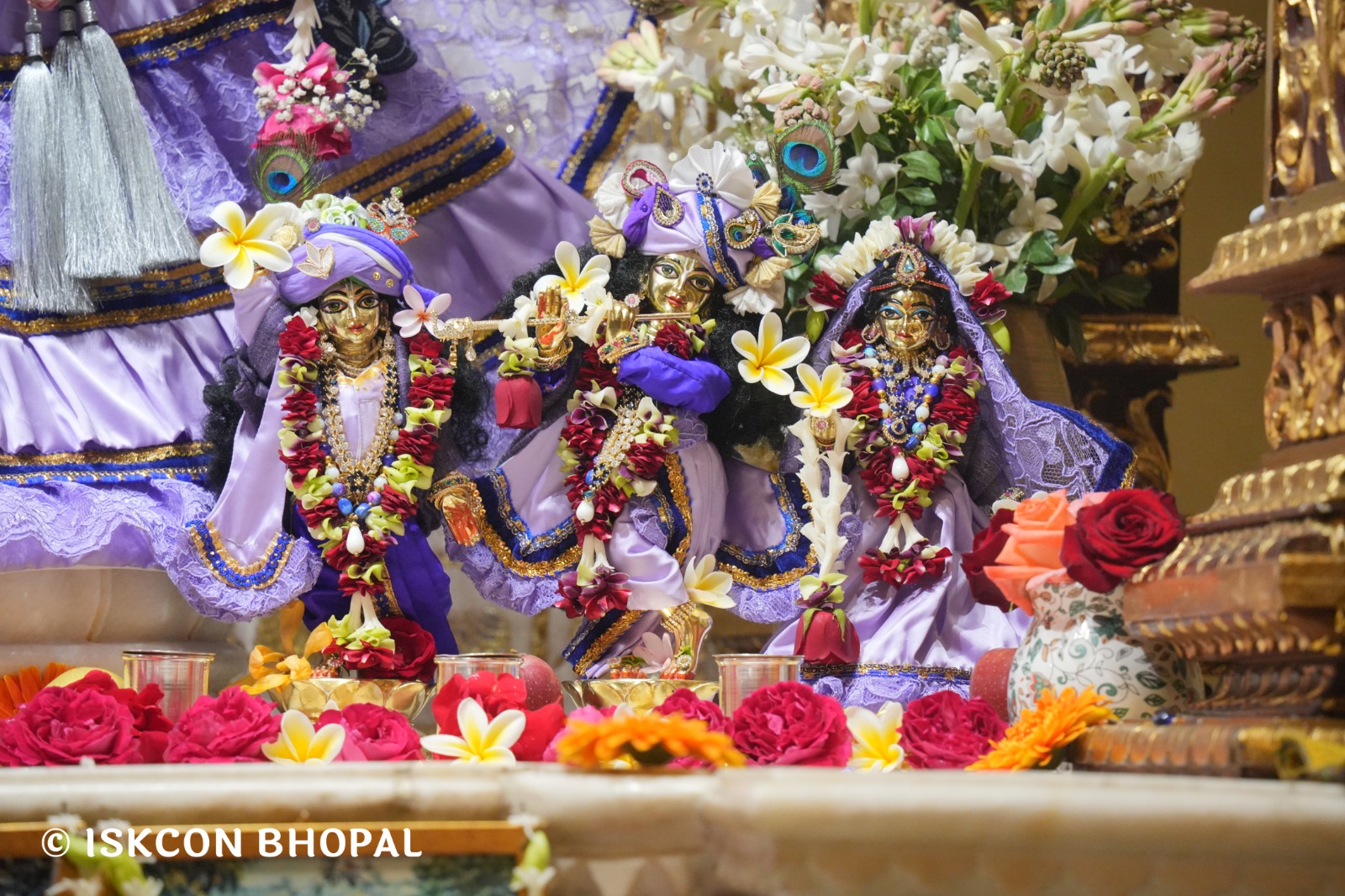 WhatsApp Image 2026-02-06 at 7.49.45 AM (2)