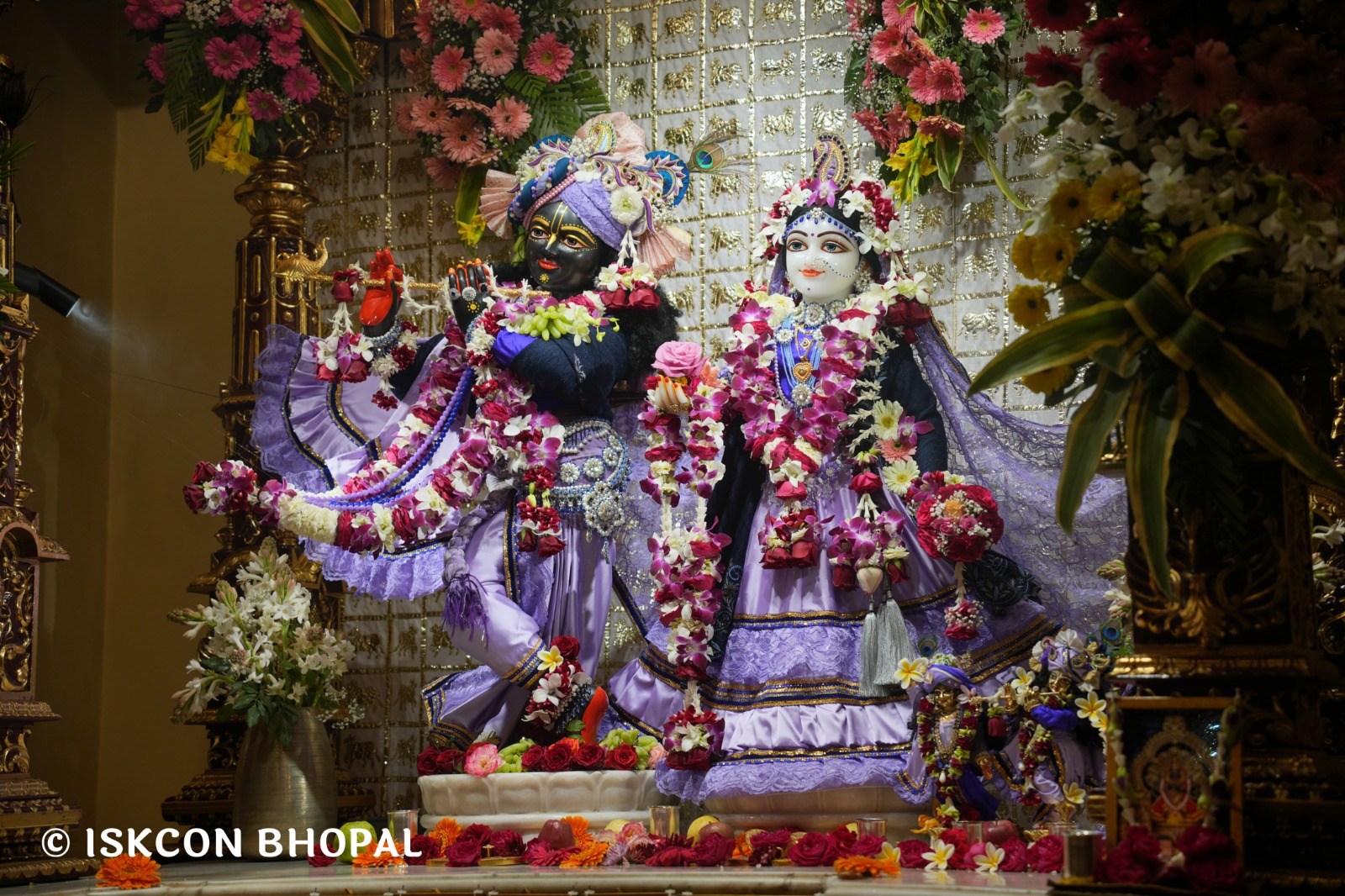 WhatsApp Image 2026-02-06 at 7.49.45 AM (3)