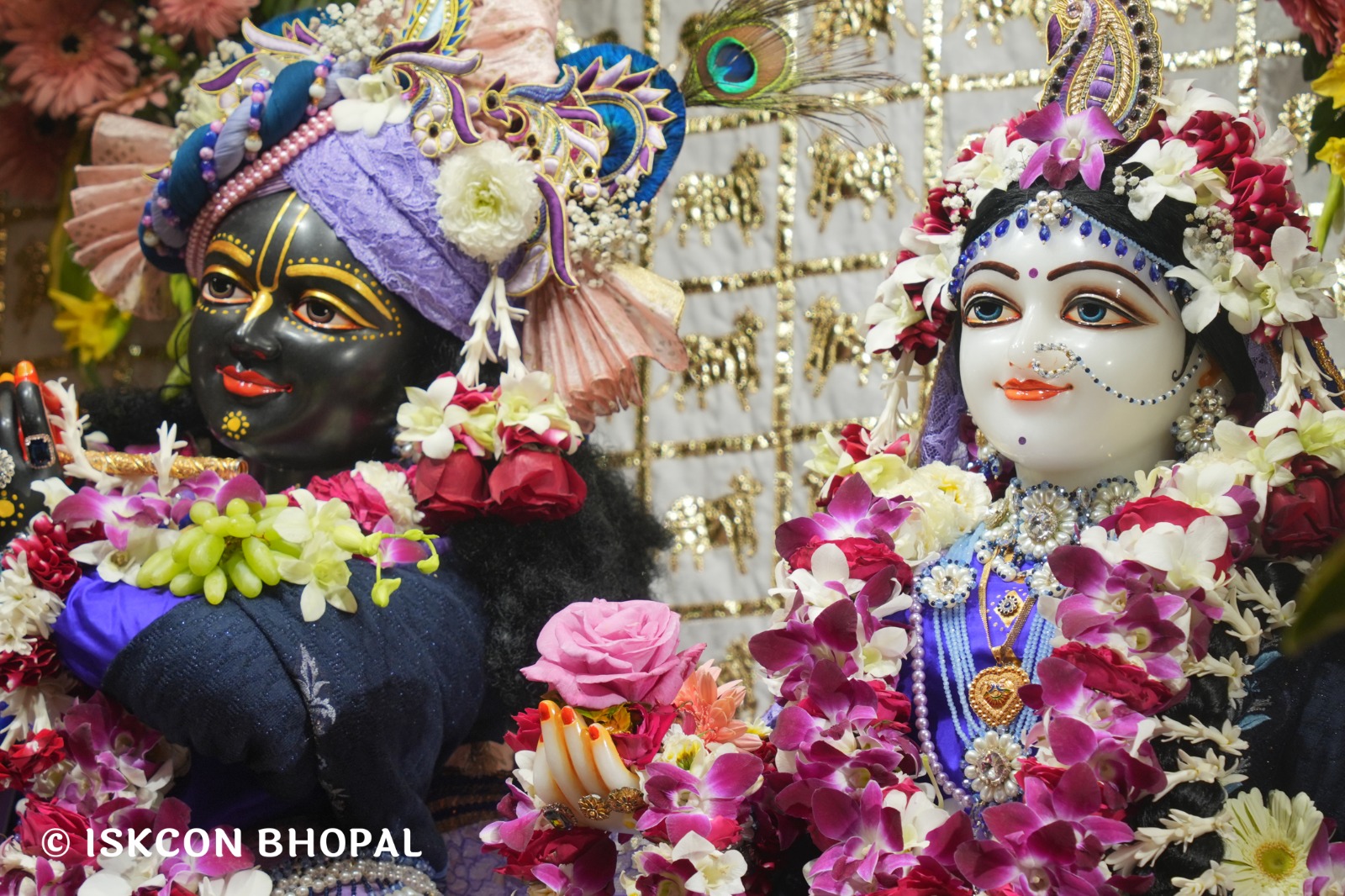 WhatsApp Image 2026-02-06 at 7.49.45 AM