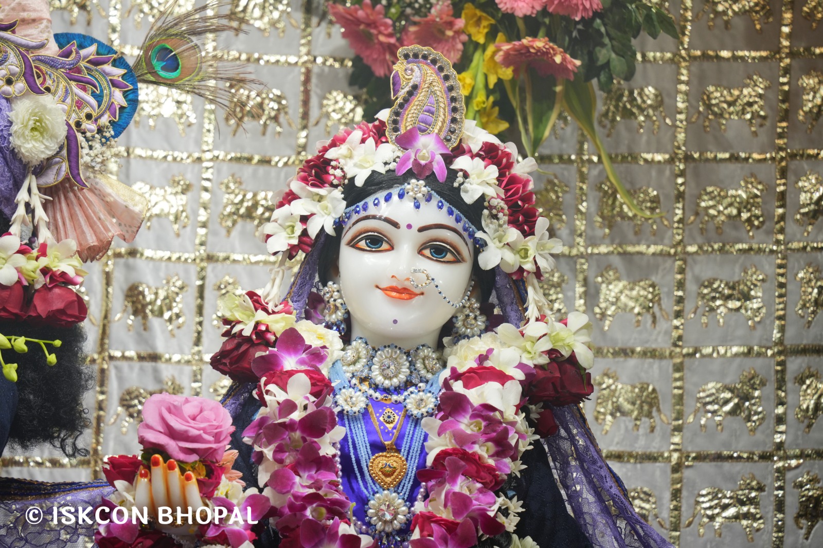 WhatsApp Image 2026-02-06 at 7.49.46 AM (1)