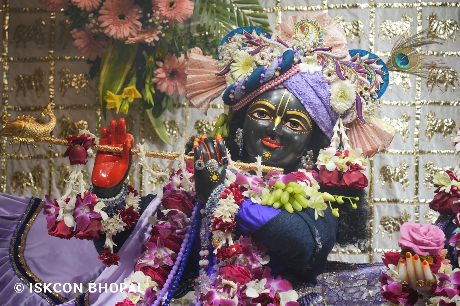 WhatsApp Image 2026-02-06 at 7.49.46 AM (2)