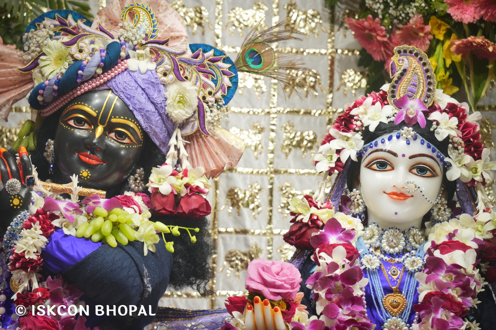 WhatsApp Image 2026-02-06 at 7.49.46 AM