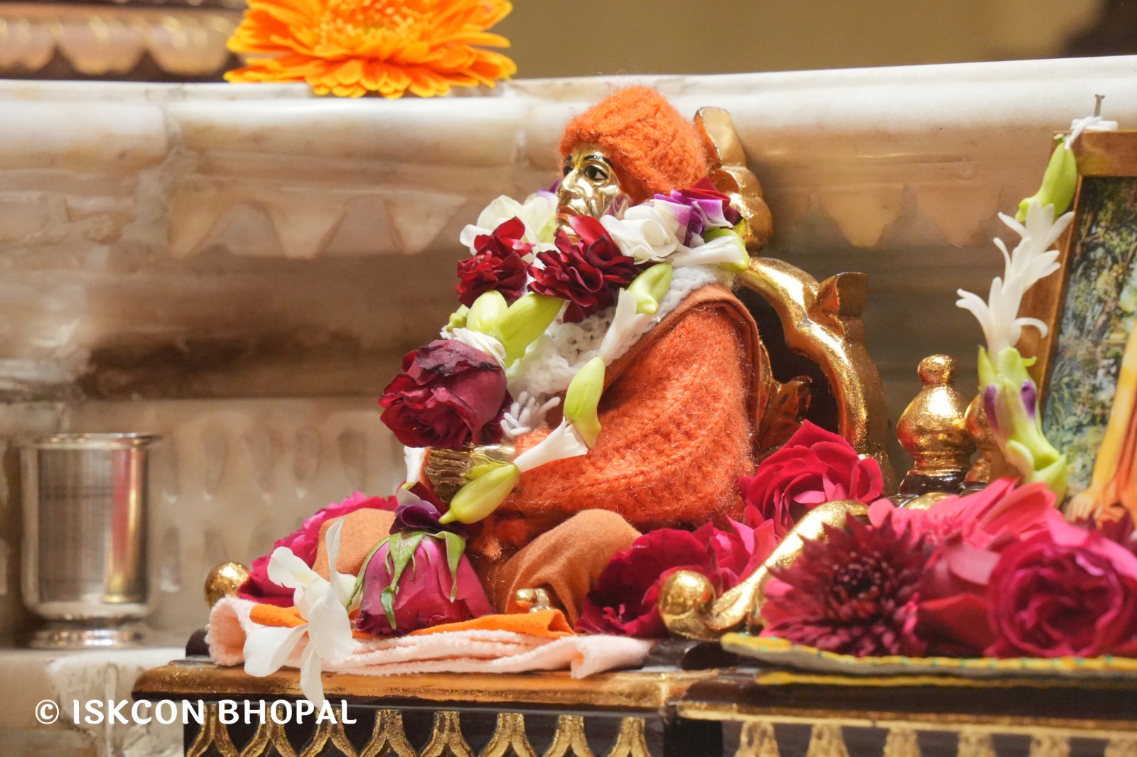 WhatsApp Image 2026-02-06 at 7.49.47 AM (1)