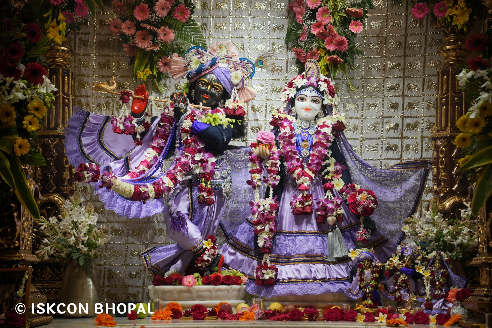 WhatsApp Image 2026-02-06 at 7.49.48 AM