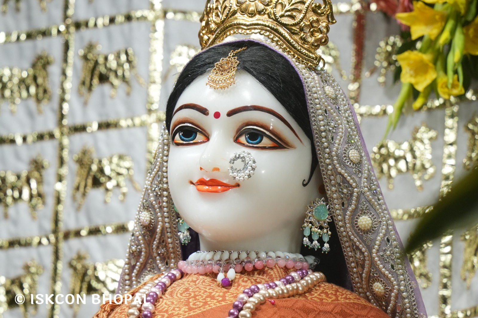 WhatsApp Image 2026-02-07 at 7.51.03 AM (2)